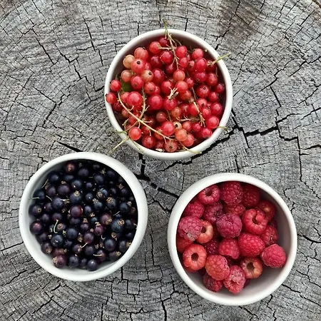 Ca Di N Çiftlik konaklama *