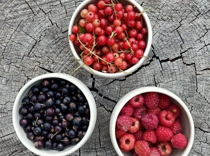 Ca Di N Vakantieboerderij *